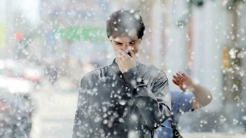 Аллерголог рассказал о способах защиты от тополиного пуха